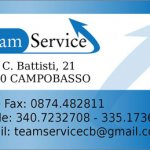 team-service